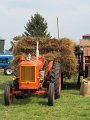 IMG_1019