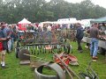 IMG_6981