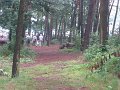 IMG_6983