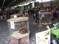IMG_7072