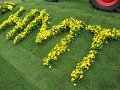 IMG_7086