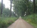 IMG_7363