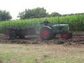 IMG_7537