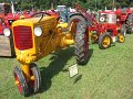 IMG_7551