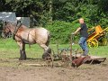 IMG_7556