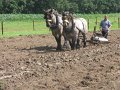 IMG_7567