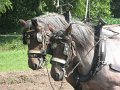 IMG_7569