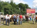 IMG_7685