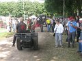 IMG_7816