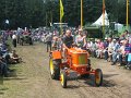 IMG_7819
