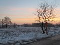 IMG_0420