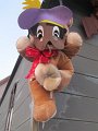 IMG_0421