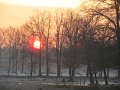 IMG_0427