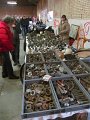 IMG_0455