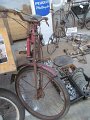 IMG_0548