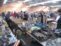 IMG_0596