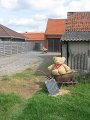 IMG_8712