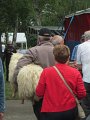 IMG_4949