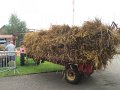 IMG_4952