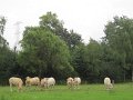 IMG_5086