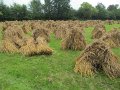 IMG_5108