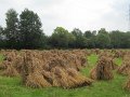 IMG_5109