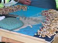 IMG_5148
