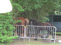 IMG_5164