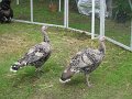 IMG_5188
