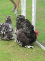 IMG_5189