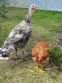 IMG_5192