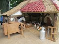 IMG_5218