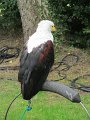 IMG_5220