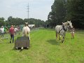 IMG_5271