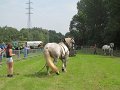 IMG_5273