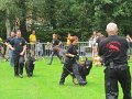 IMG_5290