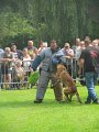 IMG_5312