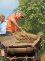 IMG_5389