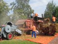 IMG_5391