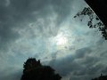 IMG_5539