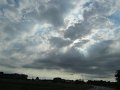 IMG_5550