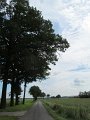 IMG_7421