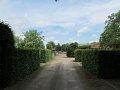 IMG_7428