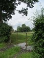 IMG_7432