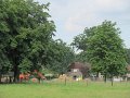 IMG_7434