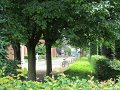 IMG_7438