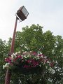 IMG_7448