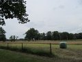 IMG_7470