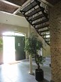 IMG_7497
