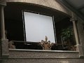 IMG_7501